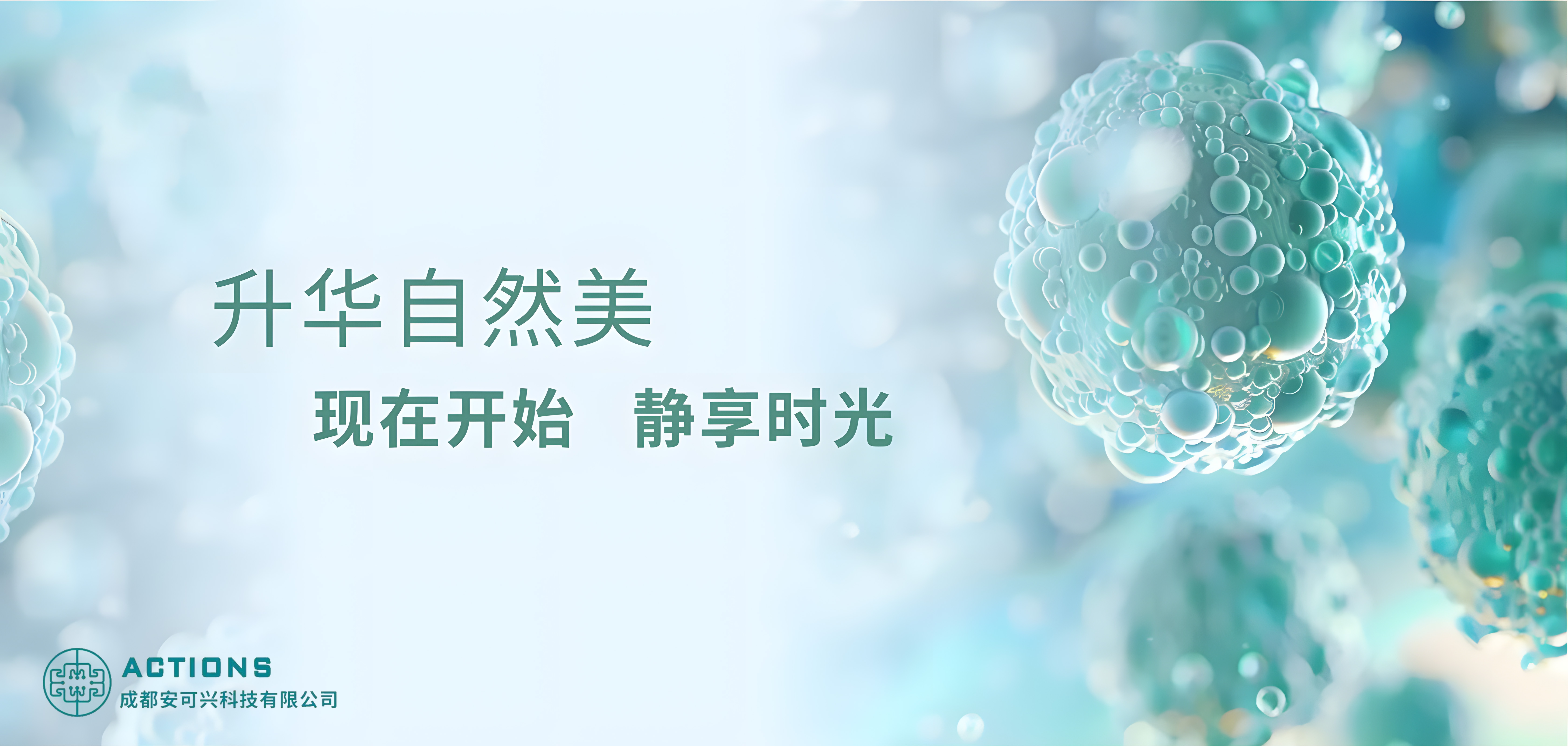 首页轮播图2